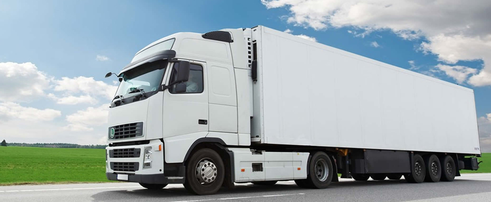 Transpirenaica banner